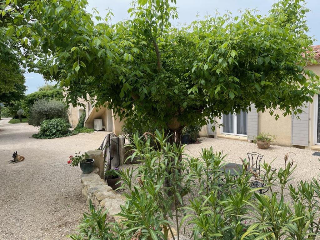 Вілла Bastide Provencale Кадене Екстер'єр фото